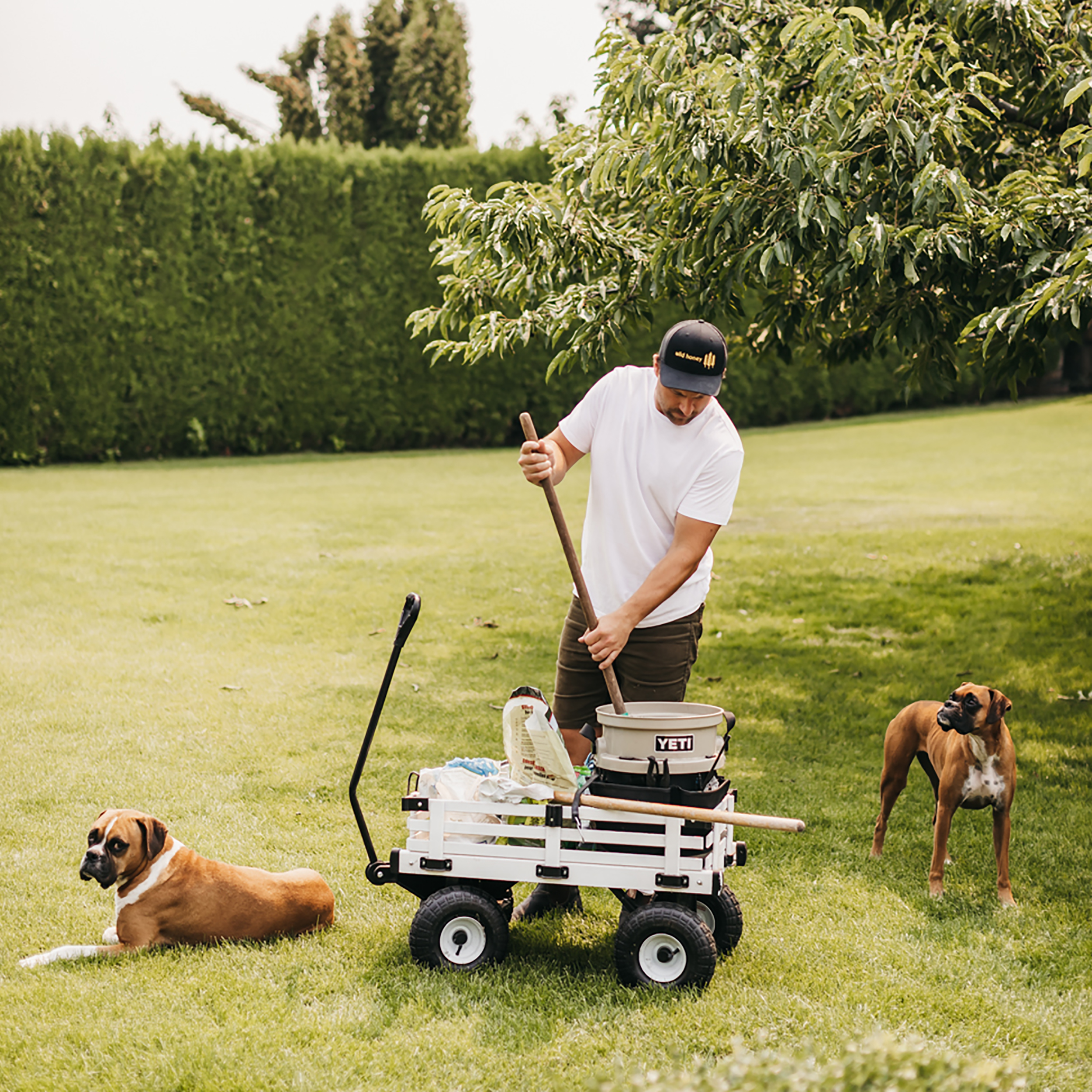 Fix Unwanted Lawn Spots With This Dog Spot Repair Mixture!
