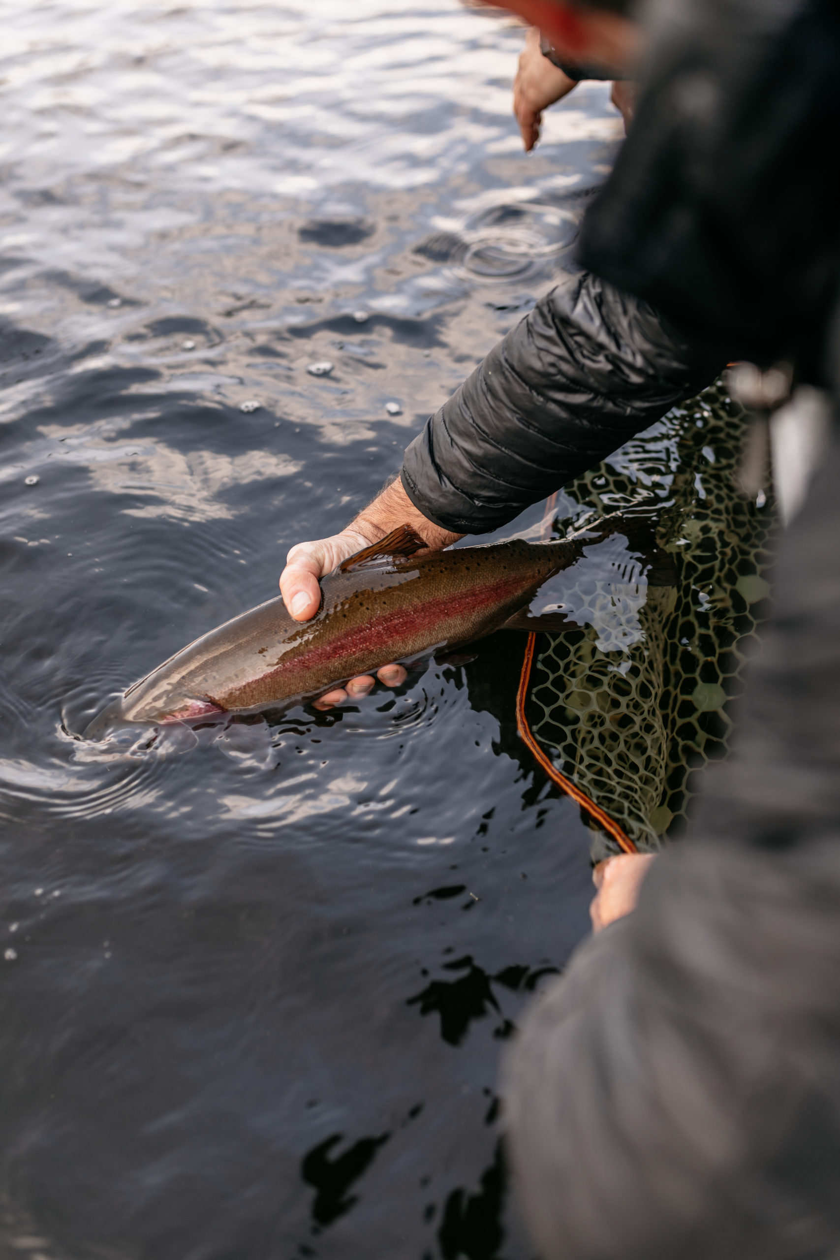 7 Half Diamond Ranch Catch and Release Fishing 