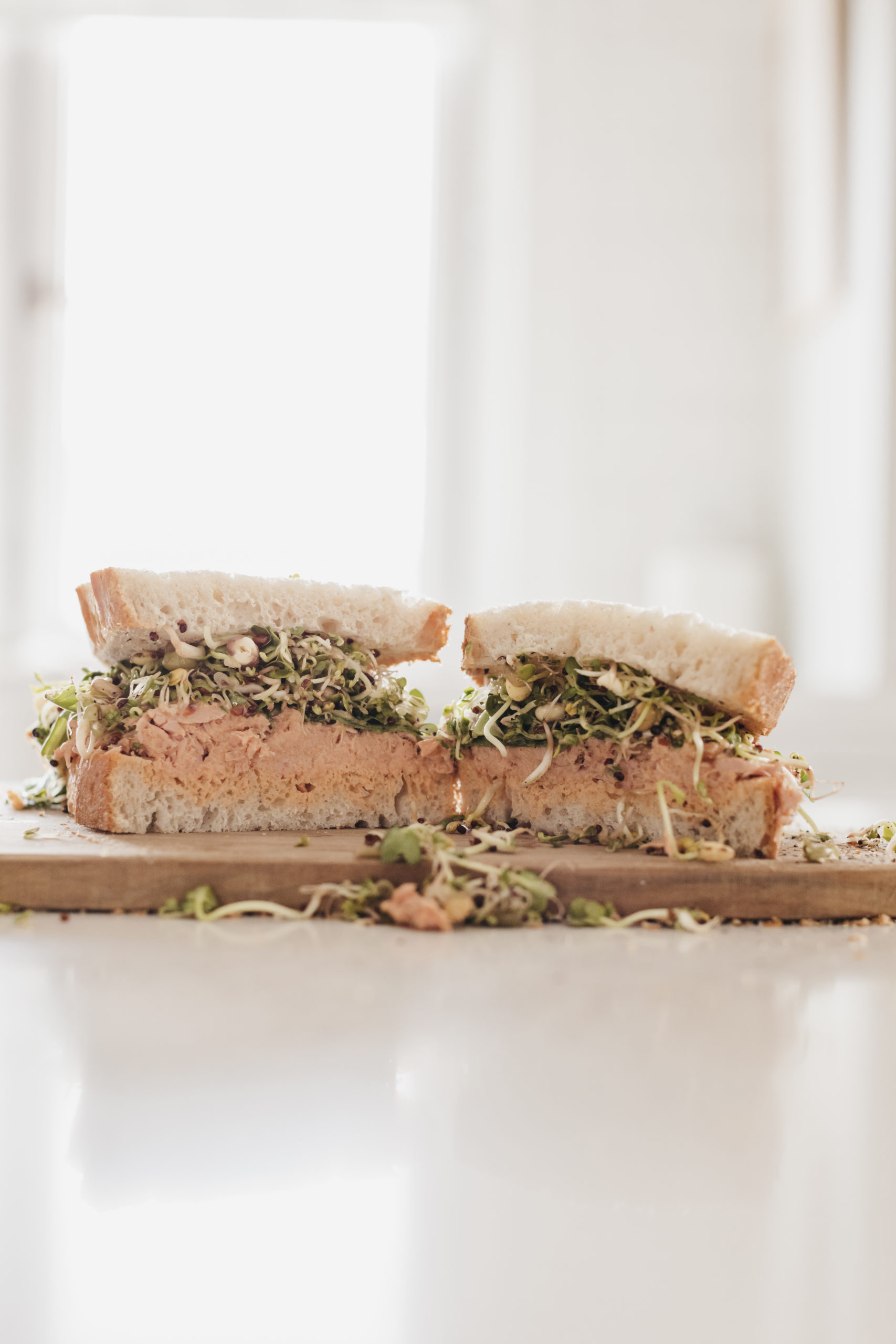 Tuna Sprout Sandwich Recipe
