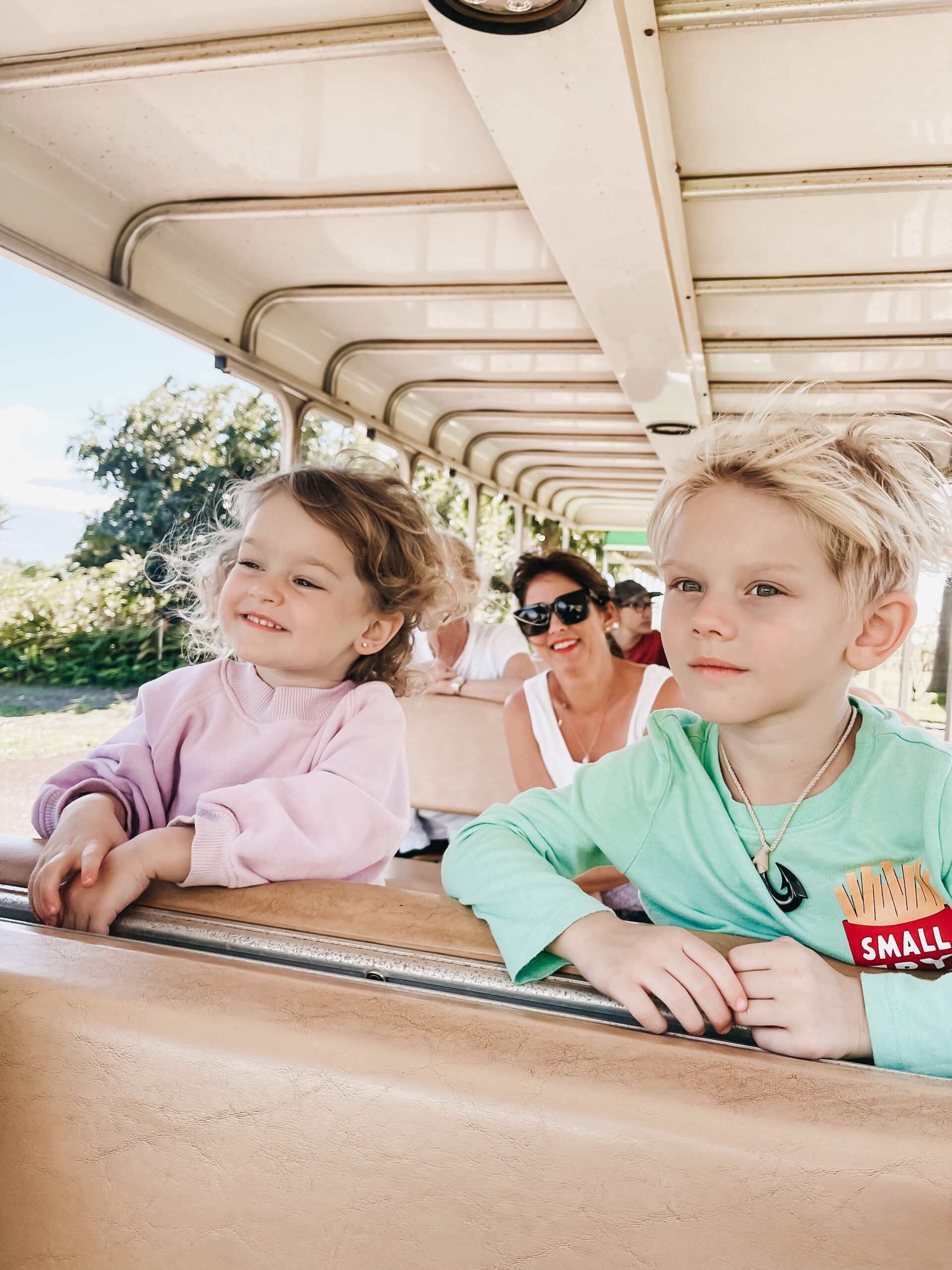 Kid Friendly Hawaii Plantation Tour